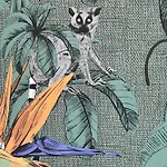 Museum 4 Deluxe * דברצן